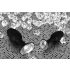 You2Toys - Diamond - silikonowy korek analny (mały)