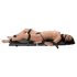 You2Toys - Bondage Board - przenośny zestaw do krępowania (13 elementów)
