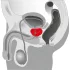 You2Toys - masażer prostaty - wibrujący rotacyjny - czarny