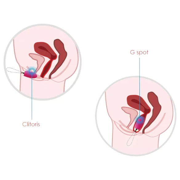 Svakom Elva - wibrujące jajko z pilotem - akumulator - czerwone