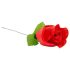 Stringi Rose - ukryte w róży - czerwone (S-L)