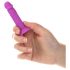 Silly Willy – kolorowe silikonowe dildo z przyssawką – zestaw 12 szt.