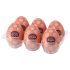 Zestaw TENGA Egg Gear Stronger - 6 sztuk