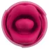 You2Toys Oral Fun - wibrator do stymulacji łechtaczki z języczkiem (różowy)