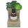 Coconutoil - Bio Olejek po Depilacji i Goleniu (50ml)