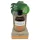 Coconutoil - olejek do opalania bio - 80ml