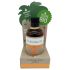 Coconutoil - Bio Olejek Brązujący (80ml)