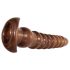 Evolved Twisted Love - Zestaw dildo analnego (imitacja drewna)