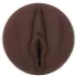 Fleshlight Nicole Kitt Purrrrrfection - masturbator - wagina
