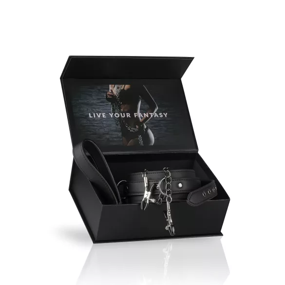 Easytoys - zestaw zacisków na sutki z obrożą i smyczą - 4 części