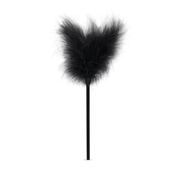 Secret Pleasure Chest - zestaw BDSM dla zaawansowanych - 14 elementów - czarny