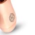 Rosy Gold Mini Wand - akumulatorowy masażer-wibrator (rosegold)
