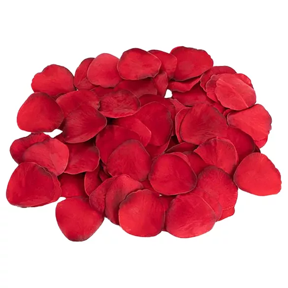 Dreamtoys Amour - zestaw prezentowy do treningu analnego (czerwony)